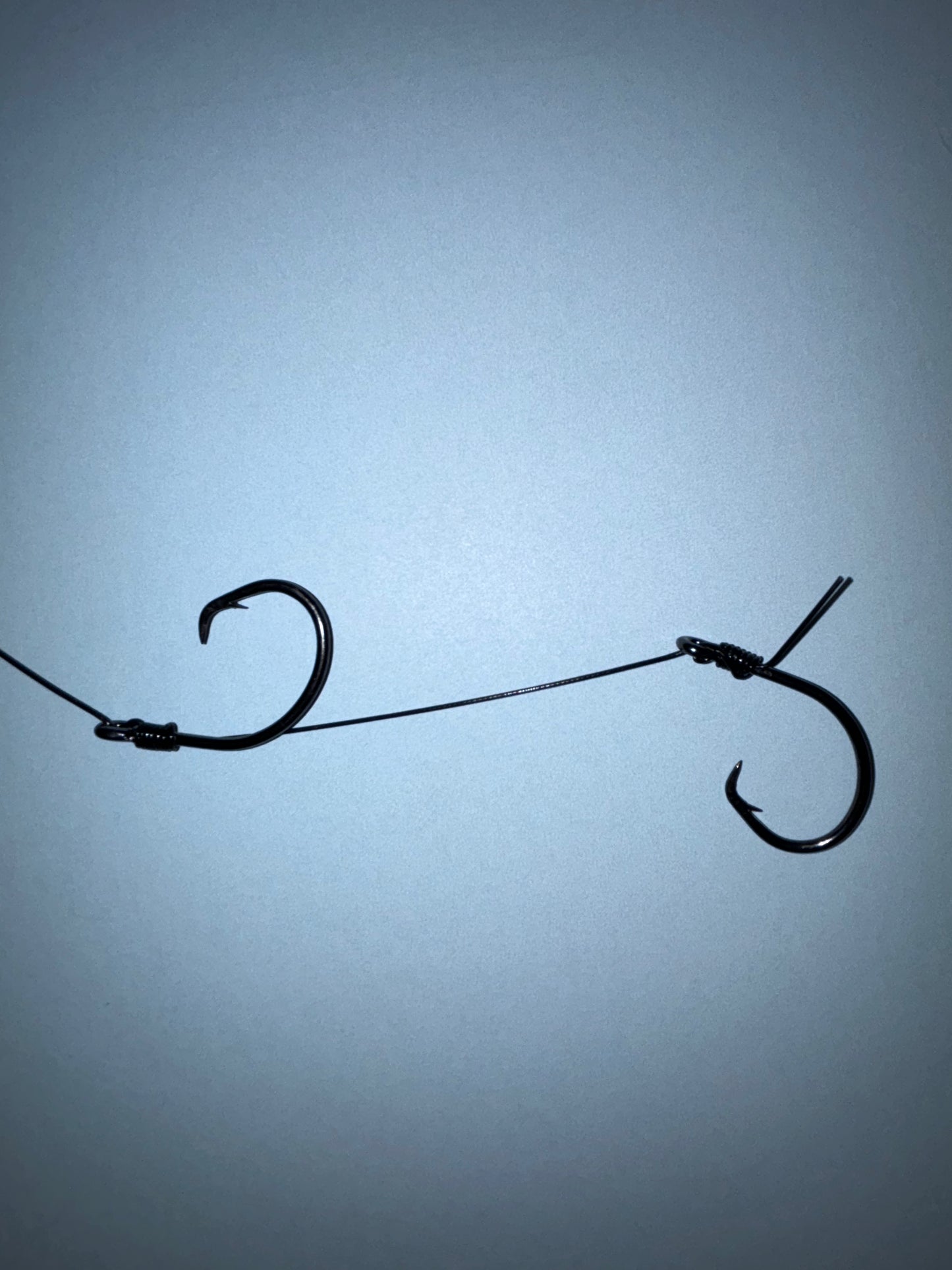8' Pulley Rig
